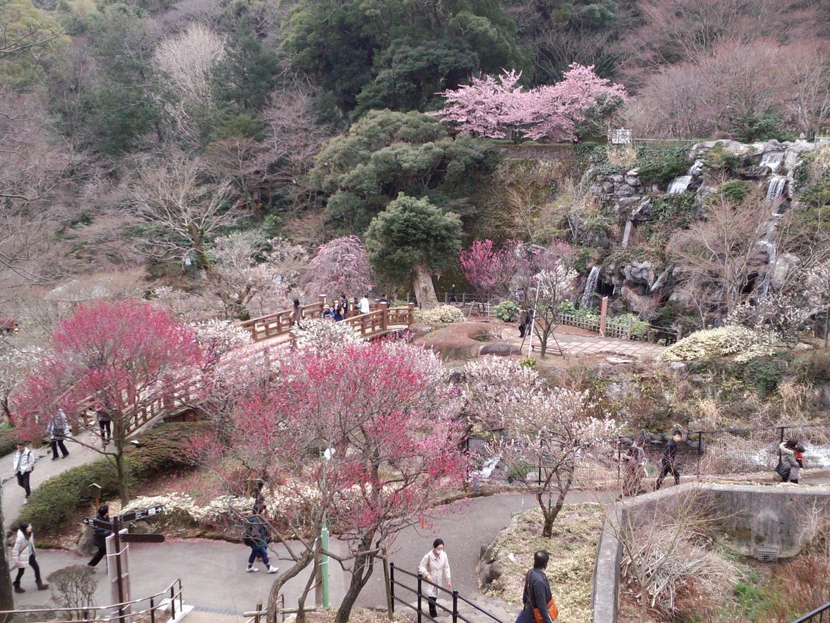 Tkp Lectore Atami Momoyama Hotel Buitenkant foto