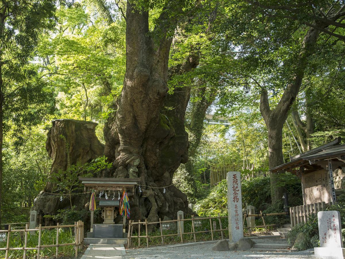 Tkp Lectore Atami Momoyama Hotel Buitenkant foto